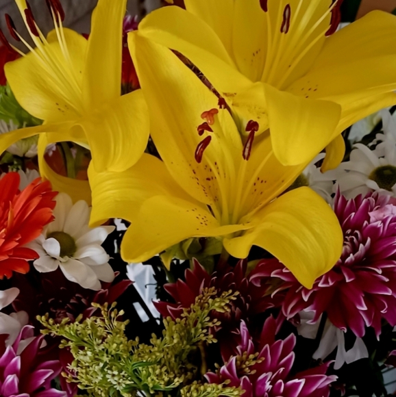 Meet your Posher, Rosa - Picture 1 of 2